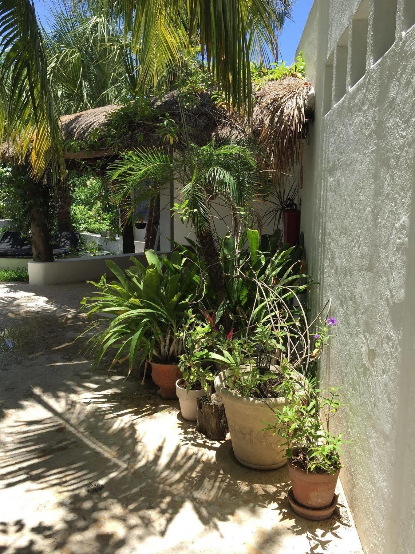 Hotel Mi Casa En Cozumel Exterior foto